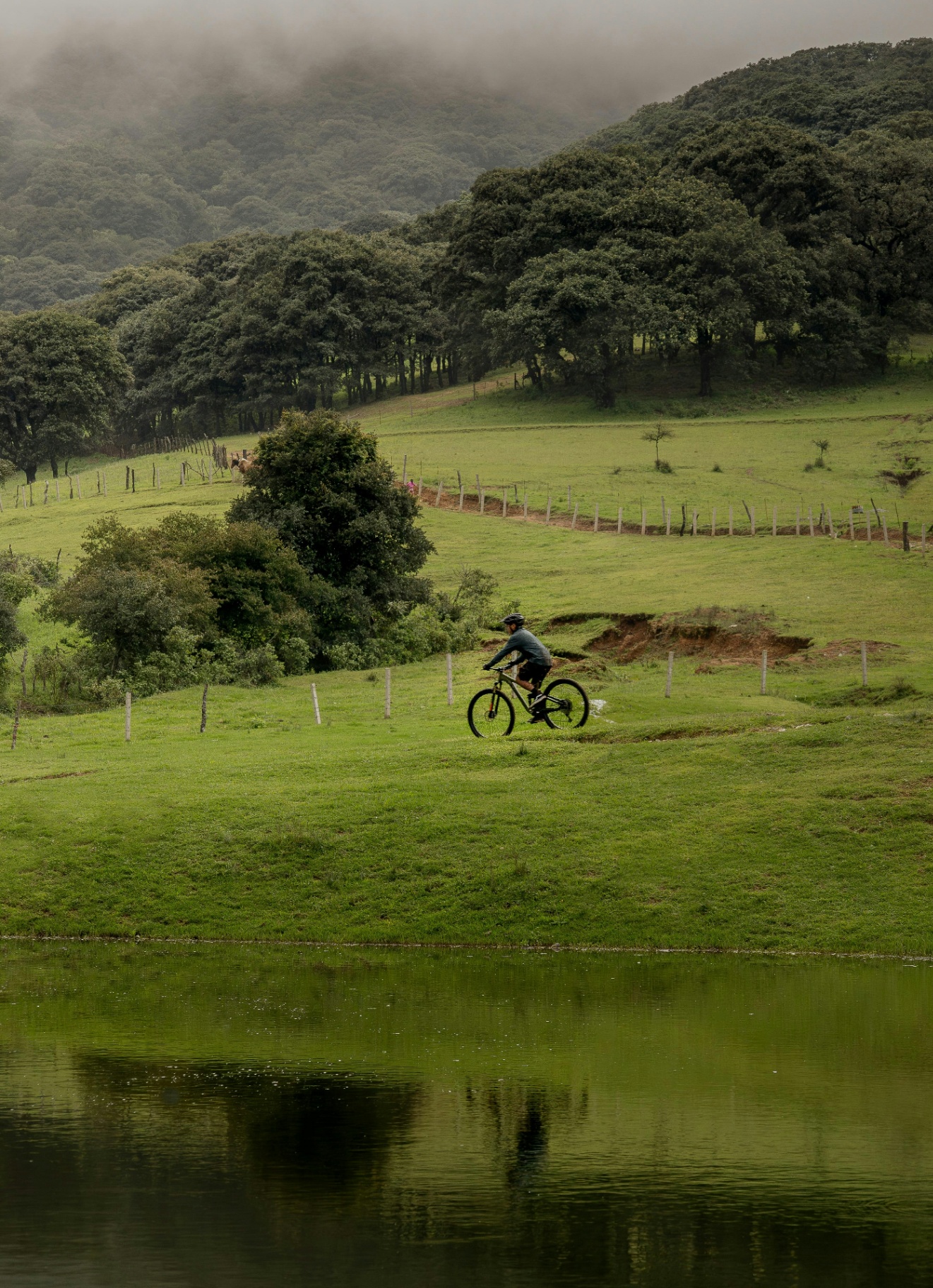 Cycling