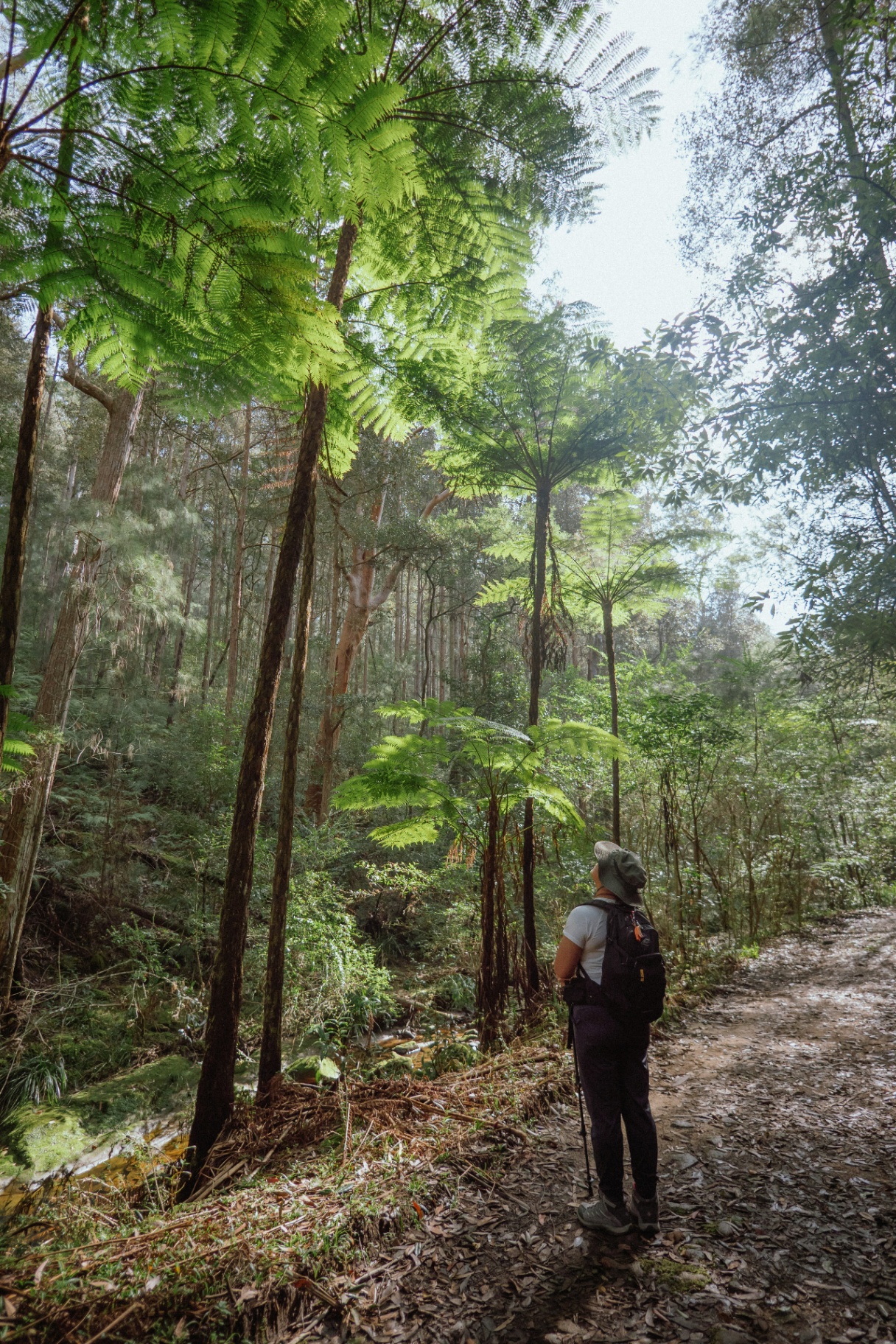 Hiking