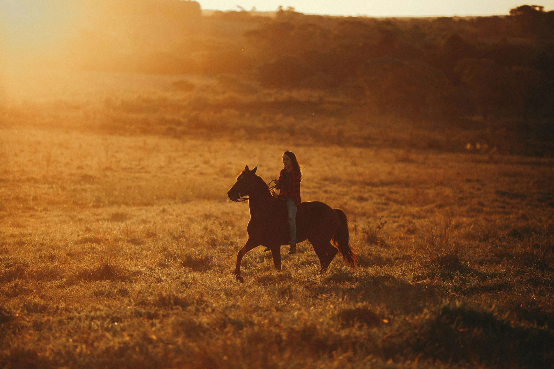 Horse Riding